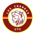 Runner up logo