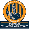 Pegasus Logo