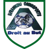 Avrankou Omnisport FC Logo