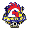 Lake Macquarie City FC U20 Logo