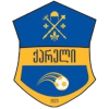 Kareli Logo