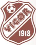 Vigor Logo