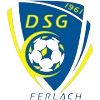 ดีเอสจี เฟอร์ลาช Logo