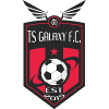 TS Galaxy Logo