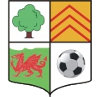 AFC Llwydcoed Logo