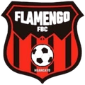 Flamengo FBC (W) Logo