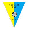 Technoroll Teskand KSE Logo