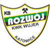 Rozwoj Katowice Logo