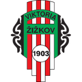 Viktoria Zizkov Logo