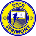 Runner up logo