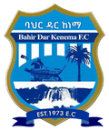 Bahir Dar Kenema FC Logo