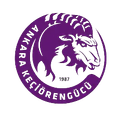 Runner up logo
