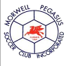 Morwell Pegasus Logo