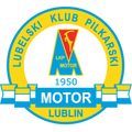 Motor Lublin Youth Logo