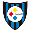 Huachipato U21 Logo