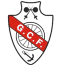 Ginasio Figueirense Logo