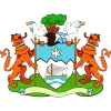Thành phố Freetown Logo