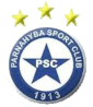 Parnahyba PI Youth Logo