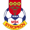 TeslaStropkov Logo