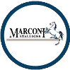 MARCONI STALLIONS U20 (WOMEN) Logo