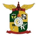 Luwu Raya United Logo