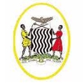 National Assembly FC women Logo