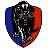 South Adelaide Reserves Logo