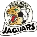 Adelaide Jaguars (W) Logo