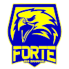 Forte FC Youth Logo