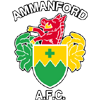 Ammanford Logo