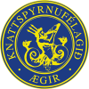 Selfoss Hamar Aegir Arborg U19 Logo