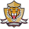 Tigres U19 Logo