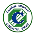Cimentul Bicaz Logo