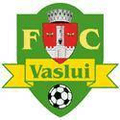 Vaslui Logo