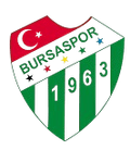 Bursaspor U18 Logo