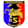 MSA FC Logo