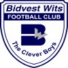 Bidvest Wits Reserves Logo