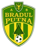 Bradul Putna Logo
