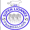 Super Lionnes (W) Logo