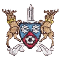 Runner up logo