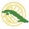 Runner up logo