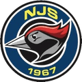 NJS Nurmijarvi III Logo