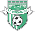KF Dukagjini U21 Logo