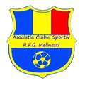 RFG Melinesti Logo
