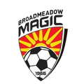 Broadmeadow Magic U22 Logo