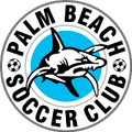Palm Beach Sharks Logo