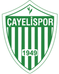 Cayelispor Logo