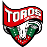 Bistrica Logo