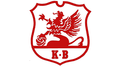 Hammarby TFF U19 Logo
