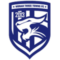 Wuhan Sanzhen Women Logo